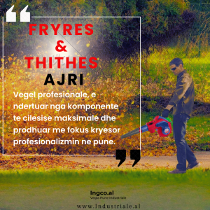 FRYRES & THITHES AJRI