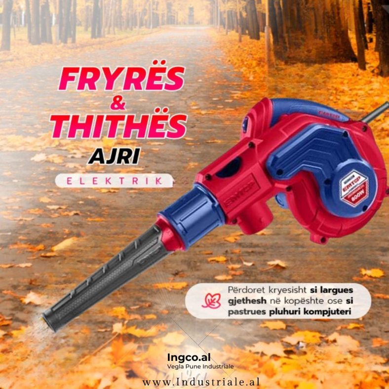 FRYRES & THITHES AJRI